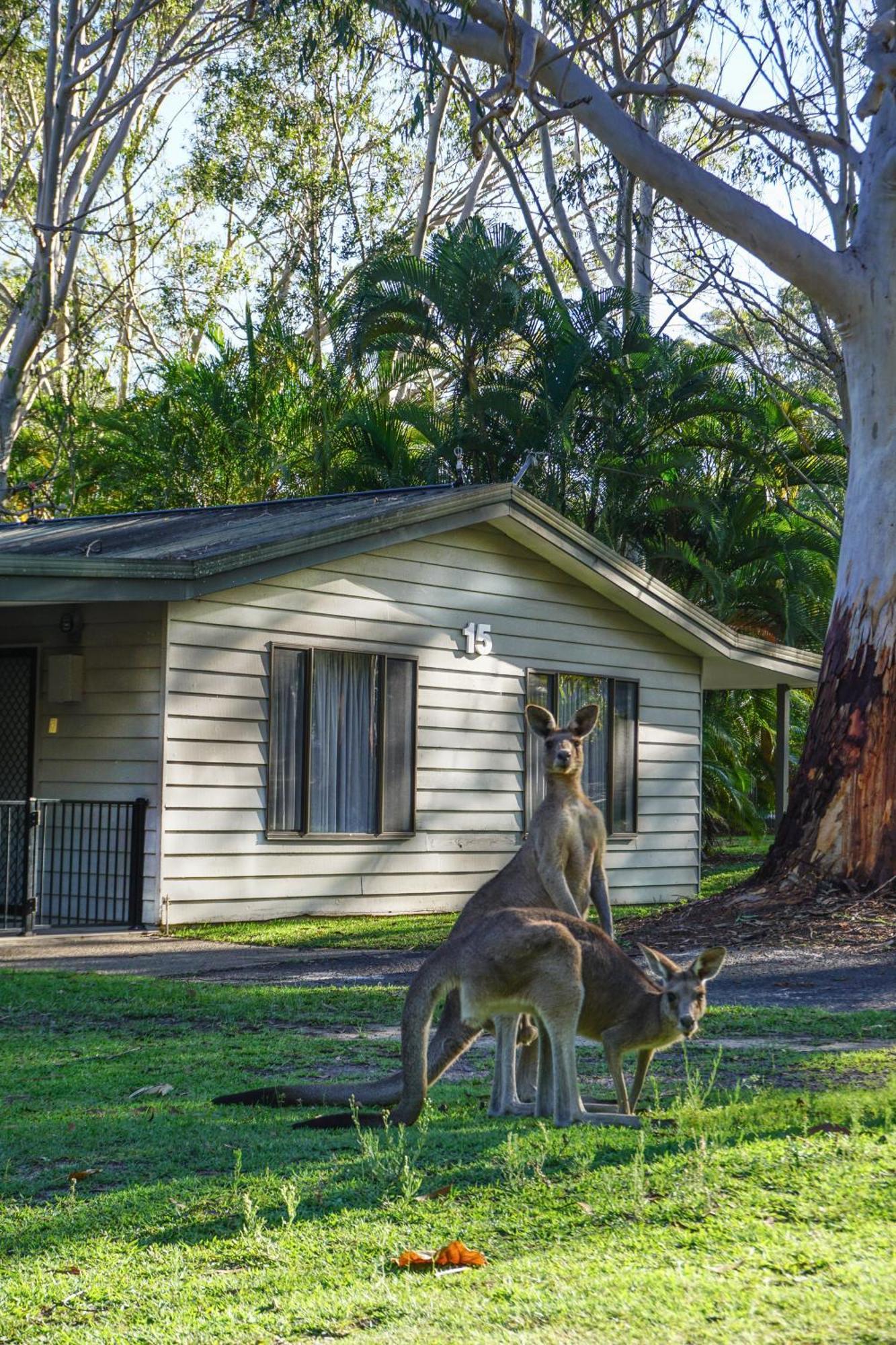 Big4 Noosa North Shore エクステリア 写真