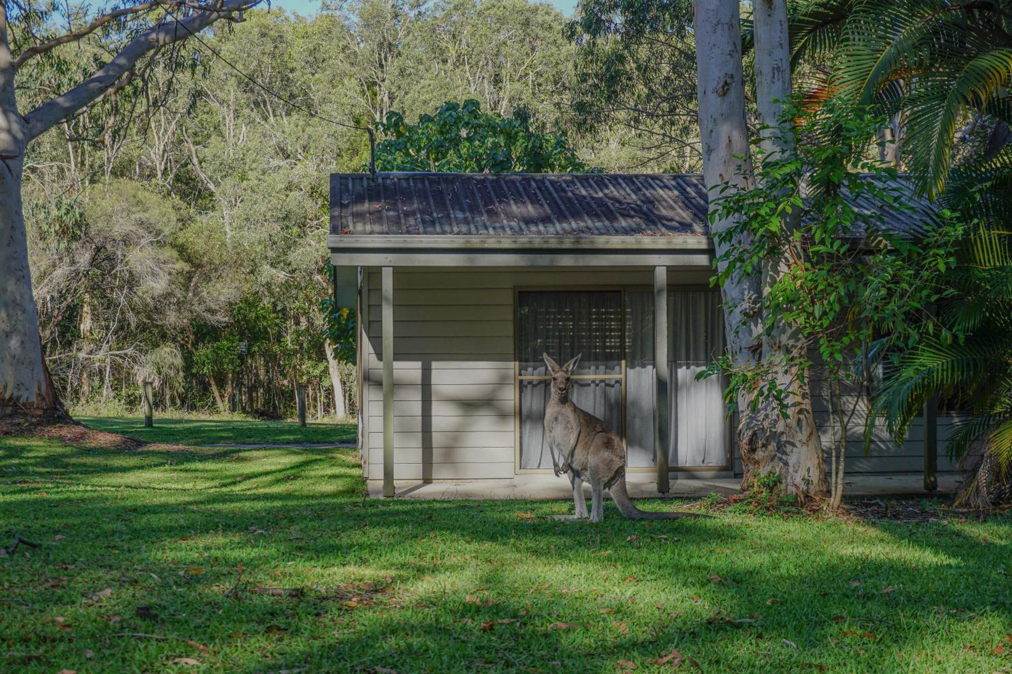 Big4 Noosa North Shore エクステリア 写真