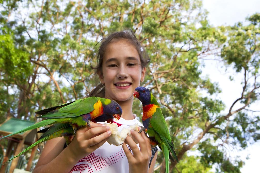 Big4 Noosa North Shore エクステリア 写真